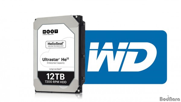 WD, 12TB /14TB   ϵũ   