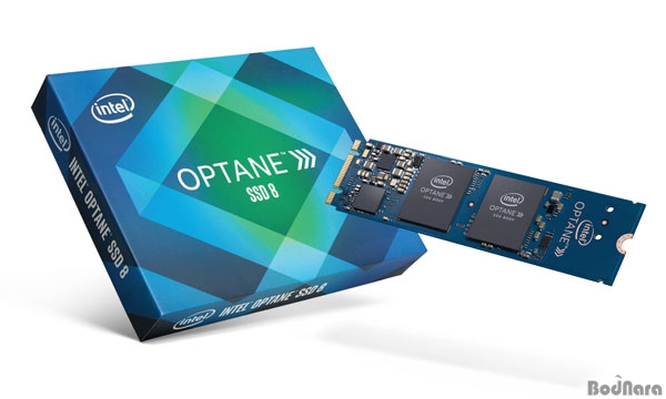 , 뷮/  νƮ PC  SSD 800P ...