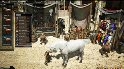, MMORPG 縷 CBT յΰ   ...