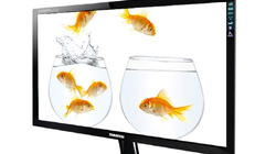 , Ǽ 27ġ LED IPS Ƽ  