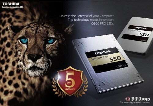 ù, ̾ SSD Q300 Pro  