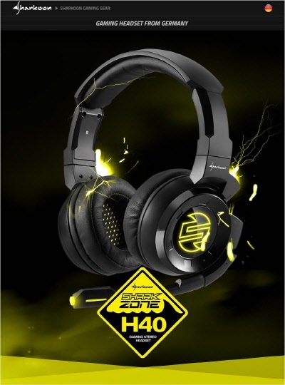 ()ٺġͳų  H40 ̹ 
