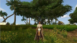 MMORPG ƶ, ĳ ũ 