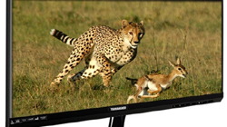 , 29 ĳ   ڿ HDMI 1.4 ̺...