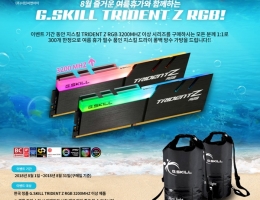 ()ؾ ų TRIDENT Z RGB 3200MHZ ̻...